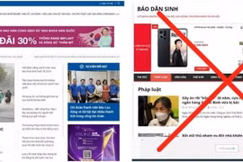 Xuất hiện website mạo danh báo điện tử Dân sinh