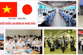 Lao động Việt Nam xuất khẩu nhiều nhất sang Nhật Bản