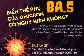 Việt Nam đã ghi nhận biến chủng BA.5, tiêm vắc xin rất cần thiết!