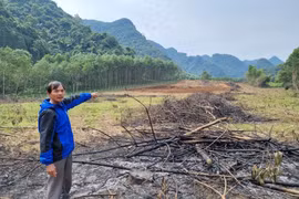 Thu hồi đất của dân với giá 'bèo' để doanh nghiệp bán dự án có đúng quy định?
