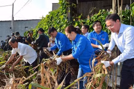 TP.HCM: Kêu gọi người dân chung tay bảo vệ môi trường