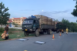 Quảng Ngãi: Phạt gần 10 tỷ đồng đối với gần 500 xe chở quá khổ quá tải