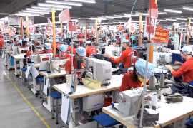Doanh nghiệp cần trợ lực về tài chính để duy trì hoạt động và phục hồi sau đại dịch