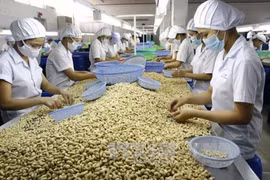 Cảnh báo và hỗ trợ doanh nghiệp tránh bị lừa đảo, tranh chấp trong thương mại quốc tế