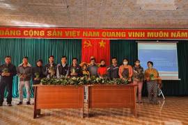Kon Tum: Trao 10.000 cây giống sâm Ngọc Linh trị giá hơn 3 tỷ đồng cho hàng trăm hộ nghèo