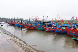 Ngành giao thông vận tải chủ động ứng phó với bão số 6