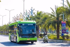 Hà Nội xây dựng lộ trình chuyển đổi sang sử dụng xe buýt xanh