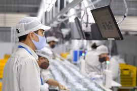 Hơn 3.000 cơ sở sử dụng năng lượng trọng điểm năm 2021