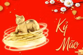 Phong thủy bếp cho tuổi Kỷ Mão 1999