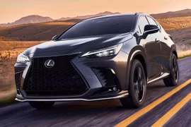 Hơn 80 nghìn xe Toyota bị triệu hồi do lỗi phanh tay điện tử