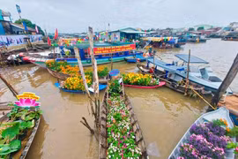 Khai mạc Ngày hội Du lịch Văn hóa chợ nổi Cái Răng năm 2022