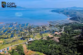 Ngang nhiên vẽ dự án "ma" Ocean View Cam Ranh để phân lô bán nền