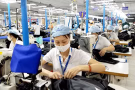 Không công khai quy chế lương, thưởng doanh nghiệp có thể bị phạt đến 20 triệu đồng