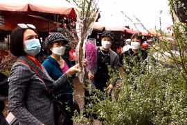 Không khí chợ hoa Xuân Hà Nội những ngày cuối năm