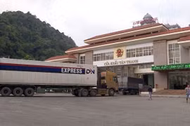 Đa dạng hóa thị trường, giảm dần sự phụ thuộc vào hình thức xuất khẩu “tiểu ngạch”