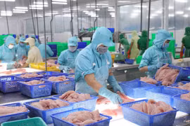 Dư địa xuất khẩu sang EU còn rất lớn