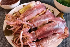 Mực nháy Vũng Áng hút khách đầu mùa