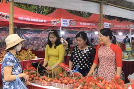 Đưa nông sản vùng miền đến với người tiêu dùng Thủ đô
