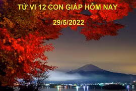 Tử vi 29/5/2022 hôm nay, Chủ nhật ngày 29/4 âm lịch của 12 con giáp
