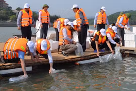 Năm 2022, dự kiến thả 53 triệu con, 150 tấn giống để tái tạo nguồn lợi thủy sản