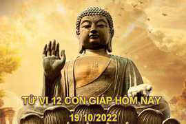 Tử vi hôm nay 19/10/2022, thứ 4 ngày 24/9 âm lịch của 12 con giáp