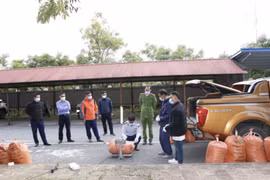 Mang cả tấn chất độc xyanua đi ủ hóa vàng, một đối tượng bị bắt