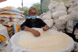 Nghiên cứu việc Ấn Độ cấm xuất khẩu gạo, thực hiện các giải pháp phù hợp