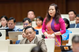 Đại biểu Quốc hội: Có tình trạng lạm dụng quyền lực để trục lợi cá nhân từ đất đai