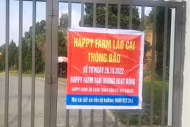 Lào Cai chỉ đạo làm rõ thông tin vụ xây khu du lịch trái phép trên đất rừng
