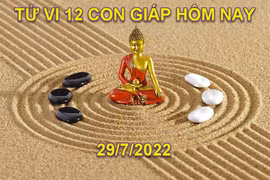 Tử vi 29/7/2022 hôm nay, thứ 6 ngày 1/7 âm lịch của 12 con giáp