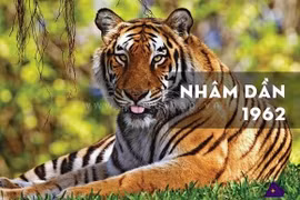 Tử vi tuổi Dần 2023 theo từng năm sinh