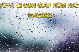 Tử vi hôm nay 16/8/2022, thứ 3 ngày 19/7 âm lịch của 12 con giáp