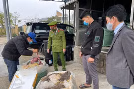 Bắt giữ xe tải chở gần 2 tấn nội tạng bò không rõ nguồn gốc