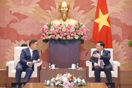 Làm sâu sắc hơn nữa quan hệ Đối tác chiến lược Việt Nam - Hàn Quốc