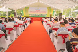 Hà Nội: Đẩy mạnh liên kết theo chuỗi từ sản xuất đến tiêu thụ sản phẩm nông nghiệp
