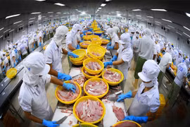 92-95% kim ngạch xuất khẩu ngành thủy sản do doanh nghiệp Việt Nam tạo ra