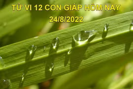 Tử vi hôm nay 24/8/2022, thứ 4 ngày 27/7 âm lịch của 12 con giáp