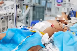 TP. HCM: Thêm hàng trăm ổ dịch sốt xuất huyết