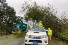 Lực lượng CSGT khắc phục hậu quả trên các tuyến đường sau bão Noru