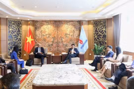 Petrovietnam và Ngân hàng ING tăng cường hợp tác trong lĩnh vực năng lượng tái tạo