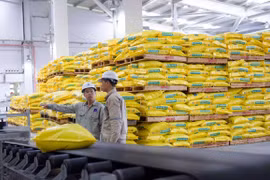 Thị trường phân bón liệu có còn biến động?