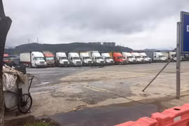 Trung Quốc thí điểm nhập khẩu hoa quả tươi Việt Nam qua cửa khẩu quốc tế Kim Thành (Lào Cai)