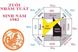 Hướng nhà cho gia chủ tuổi Nhâm Tuất 1982