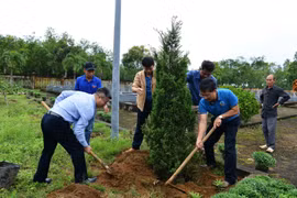 Công đoàn BDSC ra quân trồng 1000 cây xanh