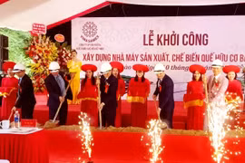 Lào Cai: Xây dựng nhà máy chế biến quế hữu cơ 400 tỷ đồng