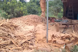 Vụ xưởng gỗ lậu ở biên giới Gia Lai: Xử phạt chủ cơ sở 35 triệu đồng