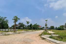 Hà Nội mạnh tay xử lý thu hồi đất đối với trường hợp chây ỳ nợ thuế, hoặc bỏ hoang