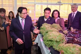 Thúc đẩy doanh nghiệp Việt Nam - Hà Lan triển khai các hoạt động hợp tác trong nông nghiệp