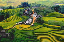8 cung đường trekking tuyệt đẹp ở Việt Nam