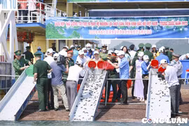 Hơn 8 triệu con giống thủy sản được thả tại khu vực ven biển Vịnh bắc bộ